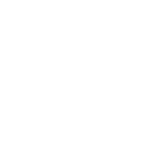 Express-Lab-Icon